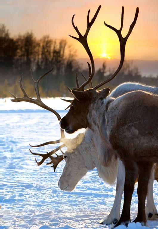 Hotell Funaesdalen ภายนอก รูปภาพ